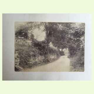 Views of Parkgate photographed by A. Bertha Comber 1891.