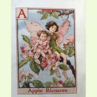 A Flower fairy - Alphabet. Poems and pictures.