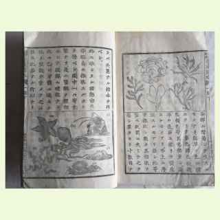 JAPANESE NATURAL HISTORY WOODBLOCK PRINT BOOK.